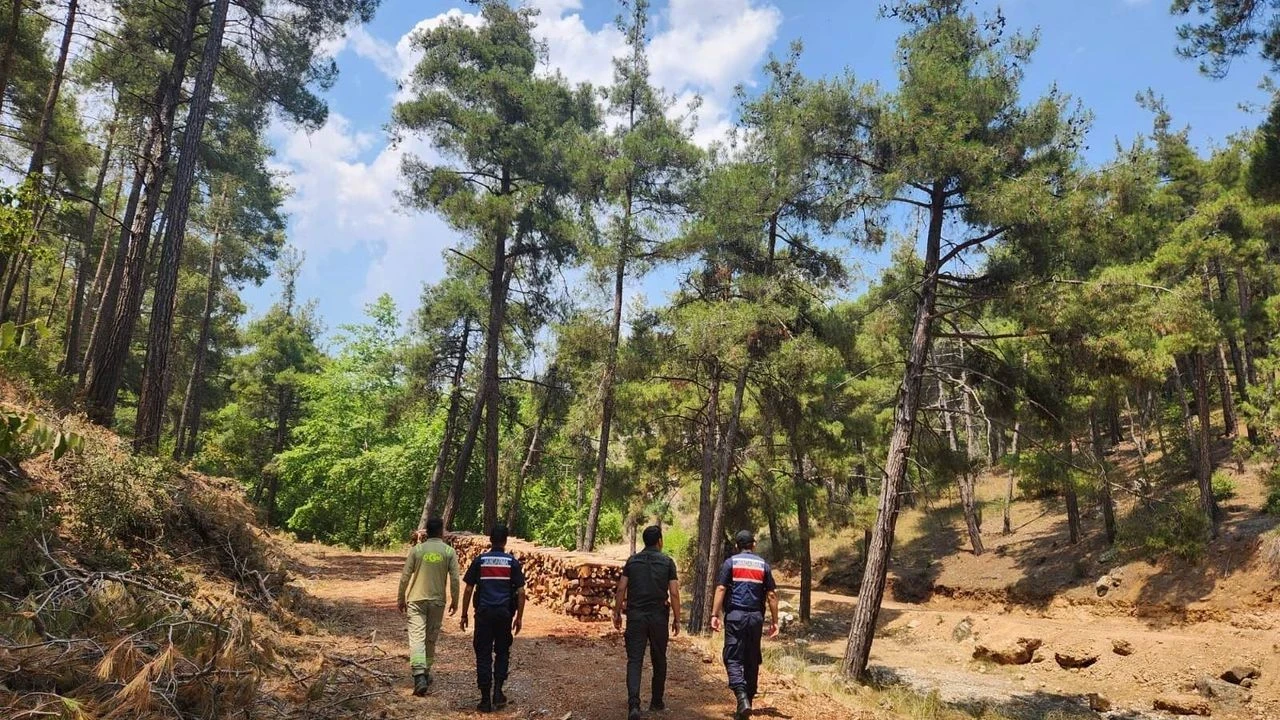 Orman Yangınlarına Karşı Jandarmadan Hava ve Karada Yoğun Denetim Uygulaması