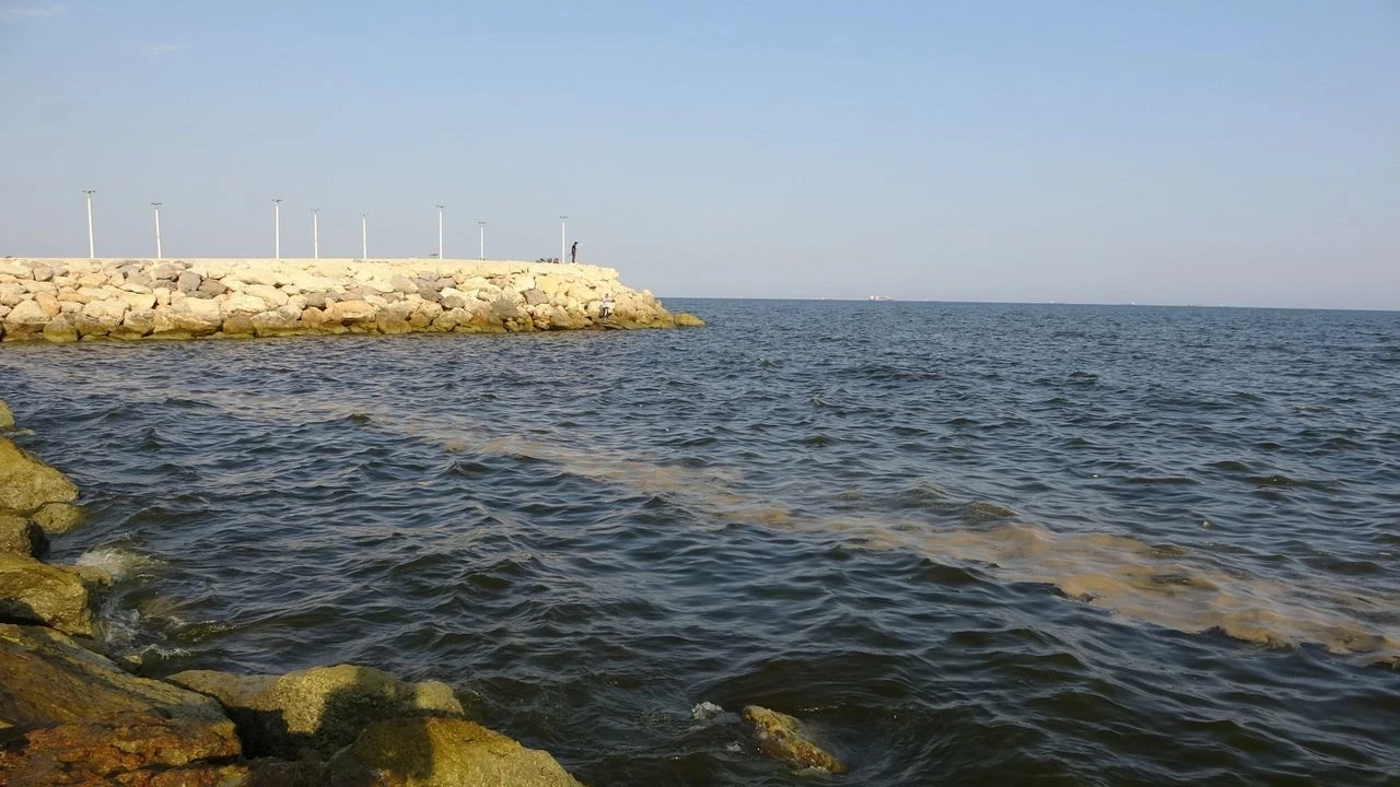 Mersin Sahillerinde Deniz Kirliliği Alarmı: Uzmanlar Acil Önlem Çağrısında Bulundu