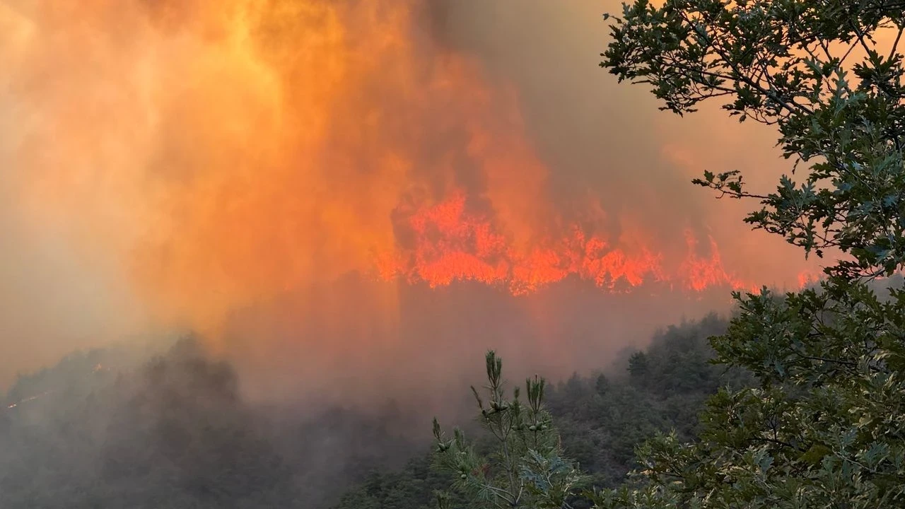 Yangın Geyve'den Osmaneli'ne sıçradı, köyler tahliye edildi, Bursa'da duman alarmı!