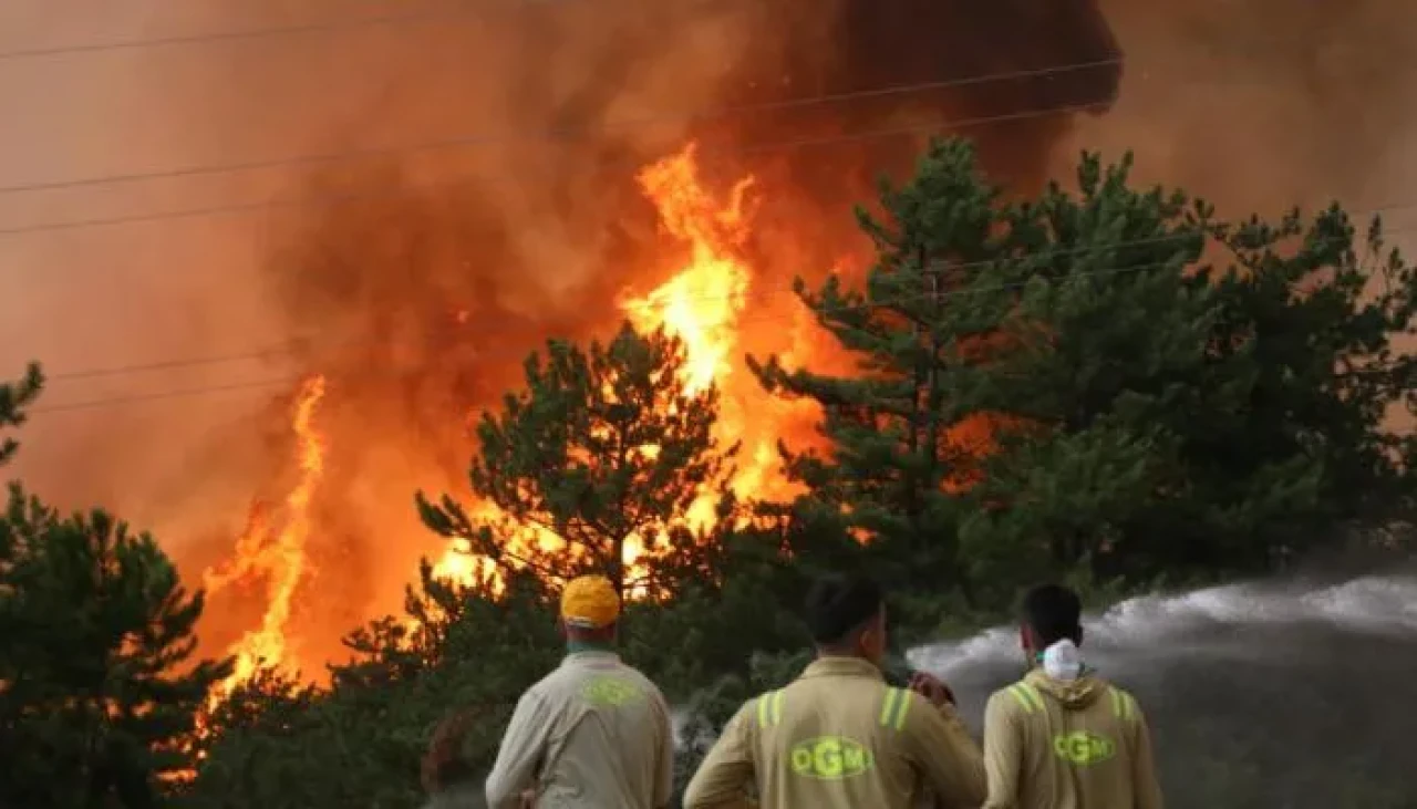 Orman yangınları sonrası 132 bağımsız birim hasar gördü, mağduriyet gideriliyor