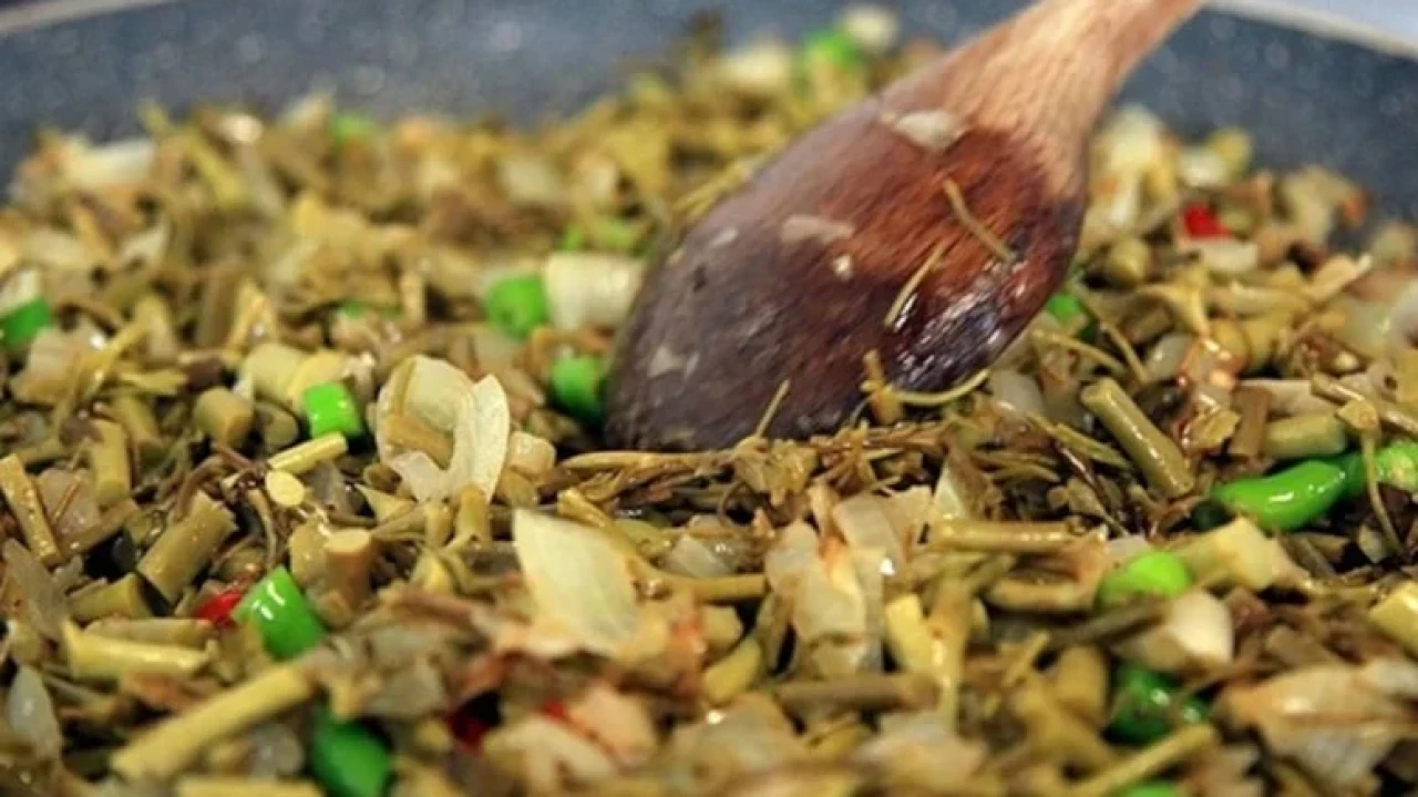 Melocan Otu: Şifa Kaynağı ve Lezzet İksiri Kıymetli Bitki