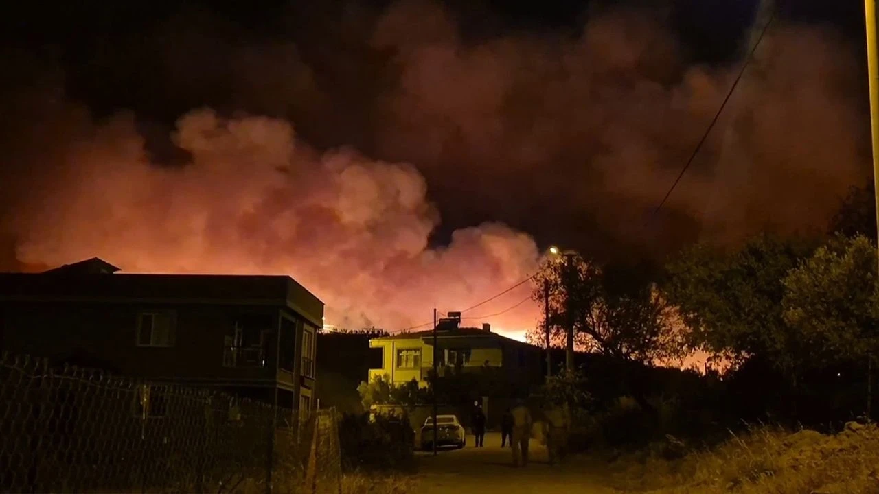 Şarköy'deki orman yangını doğayı küle çevirdi, yeşil alanlar yok oldu