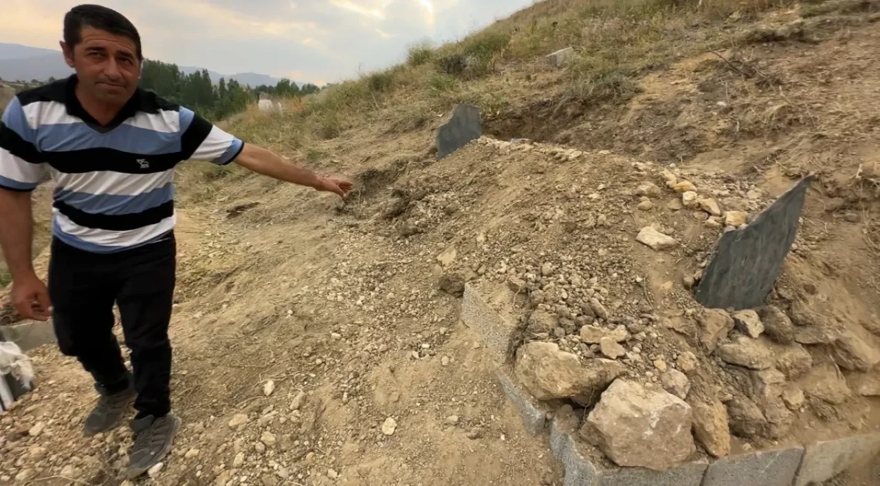 Genç mezun Muğdat Esener'in vefatından sonra sadık köpeği mezarının başında nöbet tutuyor