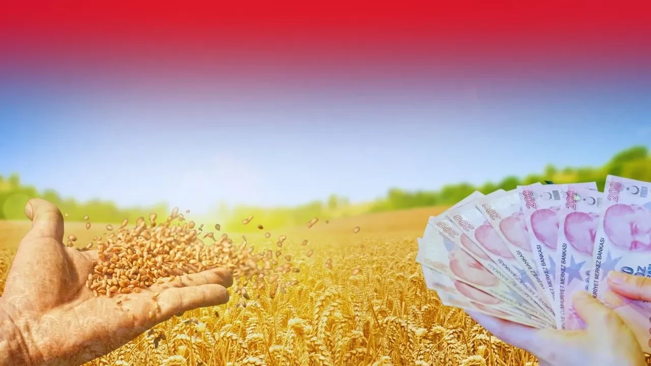 TMO'dan Kahramanmaraşlı çiftçilere 6.8 milyar TL ödeme müjdesi!