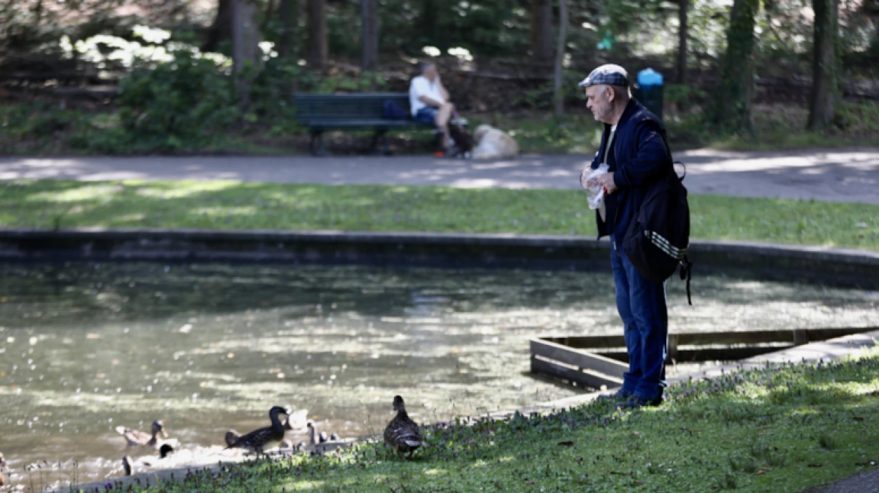 Hollanda'nın 126 yıllık huzur kaynağı: Park Sonsbeek ziyarete açık