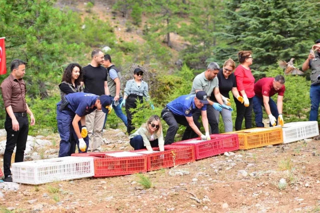 Doğal Hayata Can Sıkan Proje: 369 Bin Sazan ve 250 Keklik Doğayla Buluştu