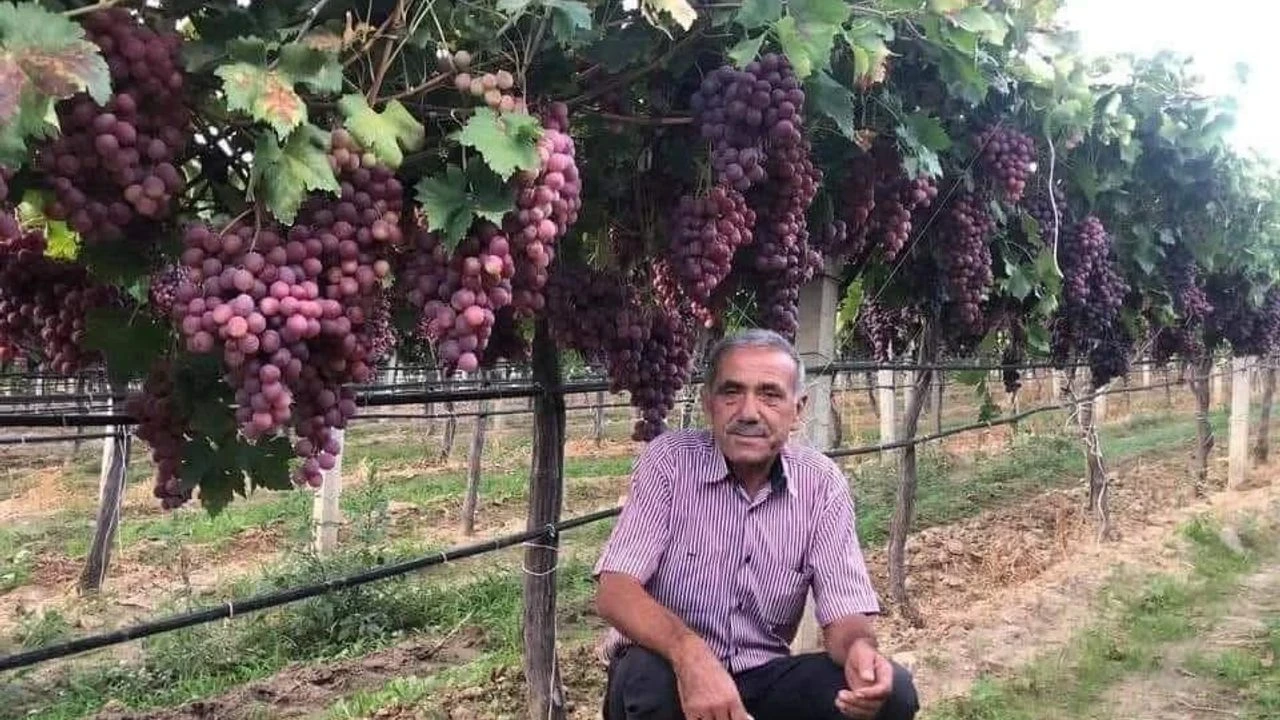 Sarıgöl'de tarım işçilerine 2025 yılı ücret tarifesi belirlendi, günlük ücretler 1000 TL'den başlıyor.