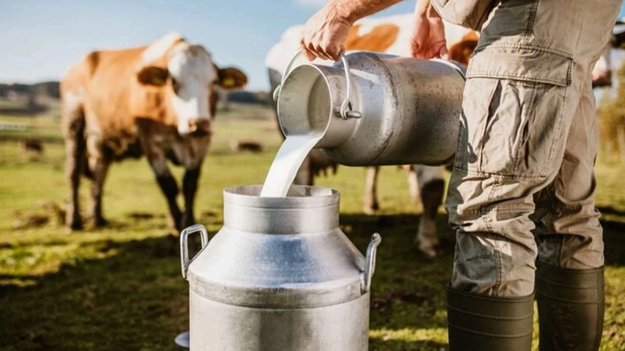 Süt fiyatları yükseldi: 2025'te litre başına 18,35 TL olacak, üretici yüzü güldü!