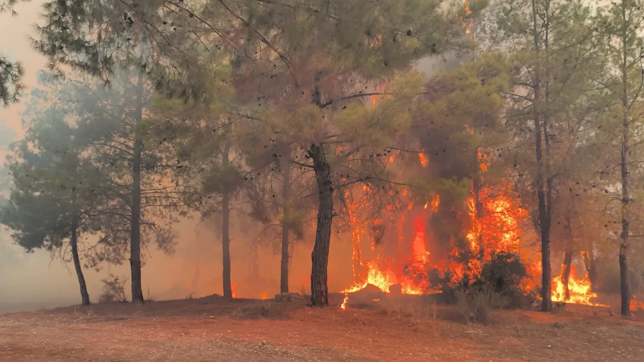 Antalya'da çıkan orman yangınları yerleşim yerlerini tehdit ediyor, evler boşaltılıyor