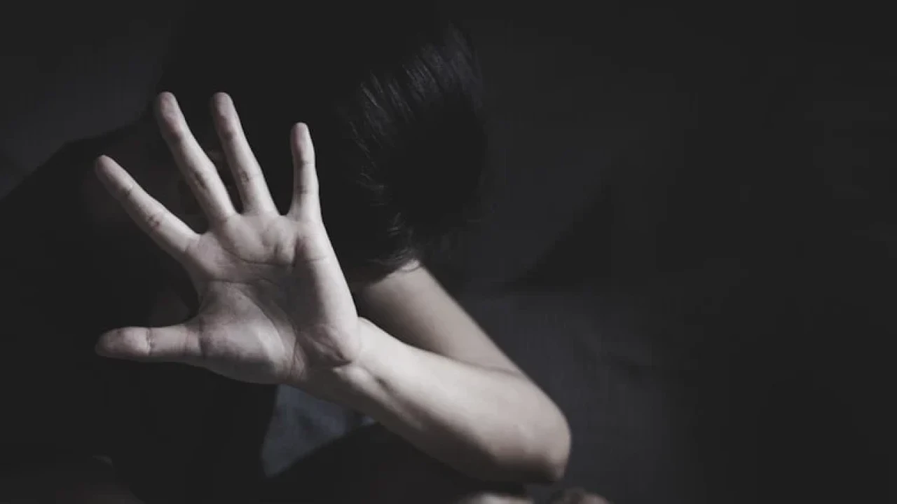 Kadın cinayetleri 2025'in ilk altı ayında 481'e ulaştı, aile politikaları eleştirildi.