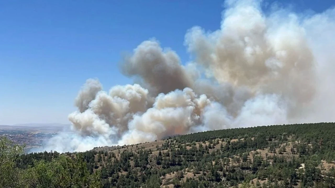 Ankara'da Eymir Gölü çevresinde yangın; itfaiye ve güvenlik güçleri müdahalede bulunuyor