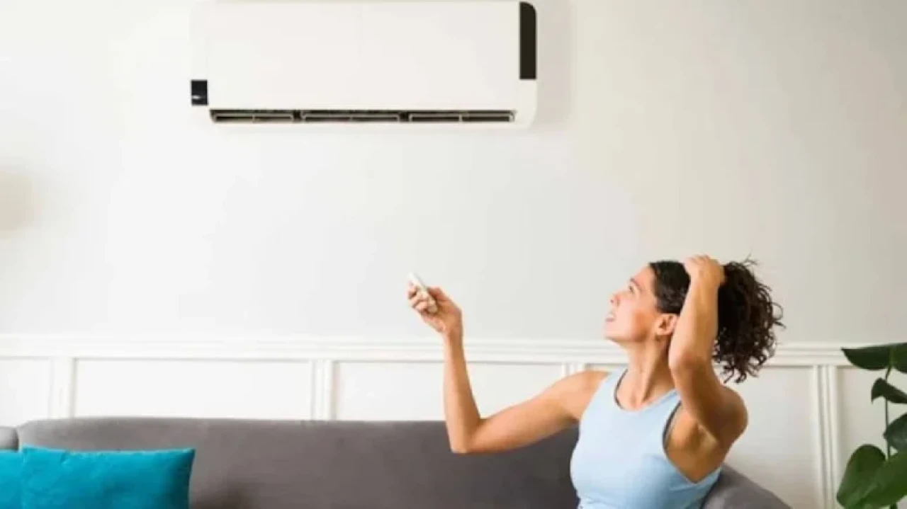 Yaz Sıcaklarında Doğal Serinlik Sunan Bitkiler ve Faydaları