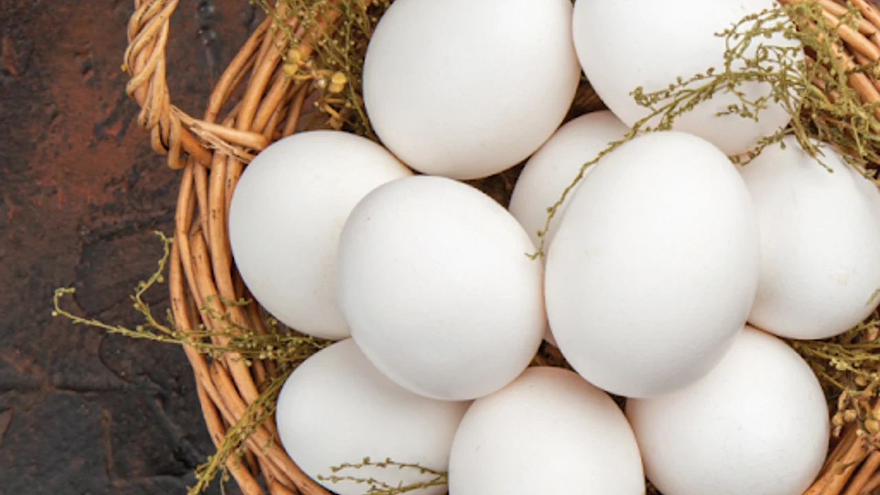 Ticaret Bakanlığı'ndan Yumurta İhracatında Yeni Kontrol Mekanizması getirildi