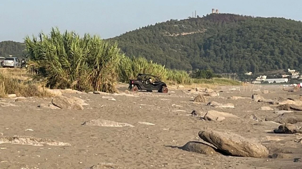 Gazipaşa'da Caretta Caretta Yuvaları Tehlikede: Köpekler ve Araçlar Tahribat Yaratıyor