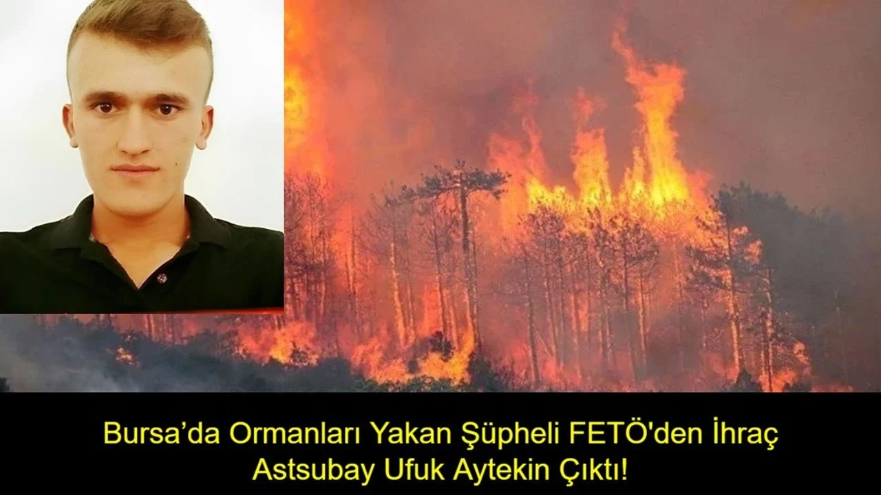Bursa'da Orman Yangını Soruşturmasında Eski Asker Şüpheli Olarak Tutuklandı