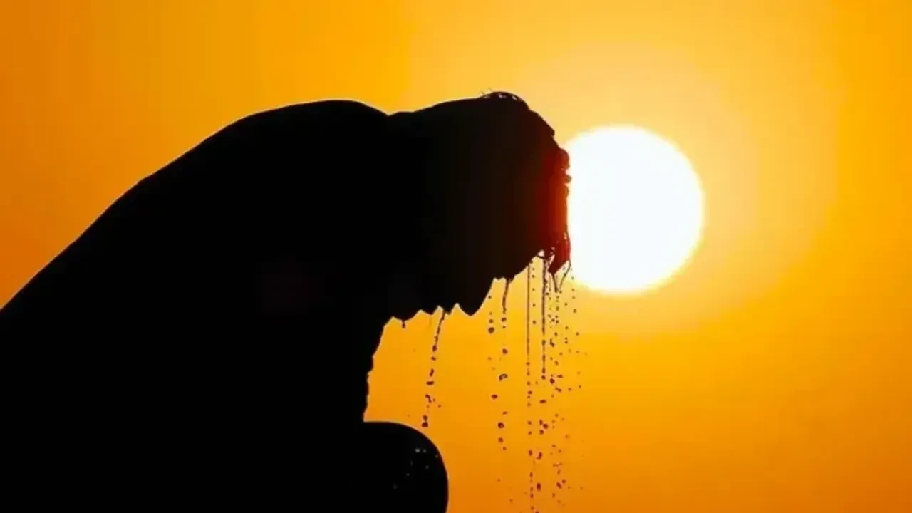 İstanbul'da kavurucu sıcaklar: Termometreler 50 dereceyi aştı, uzmanlar dikkatli olun diyor!