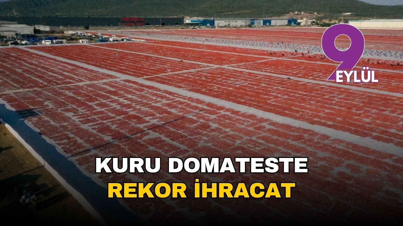 Ege'nin kuru domatesi, 2024'te 95 milyon dolar ihracatla dikkat çekti.