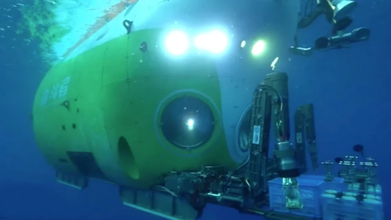 Pasifik'in derinliklerinde yeni deniz canlıları keşfedildi: Ekosistemlerin gizemleri çözülüyor