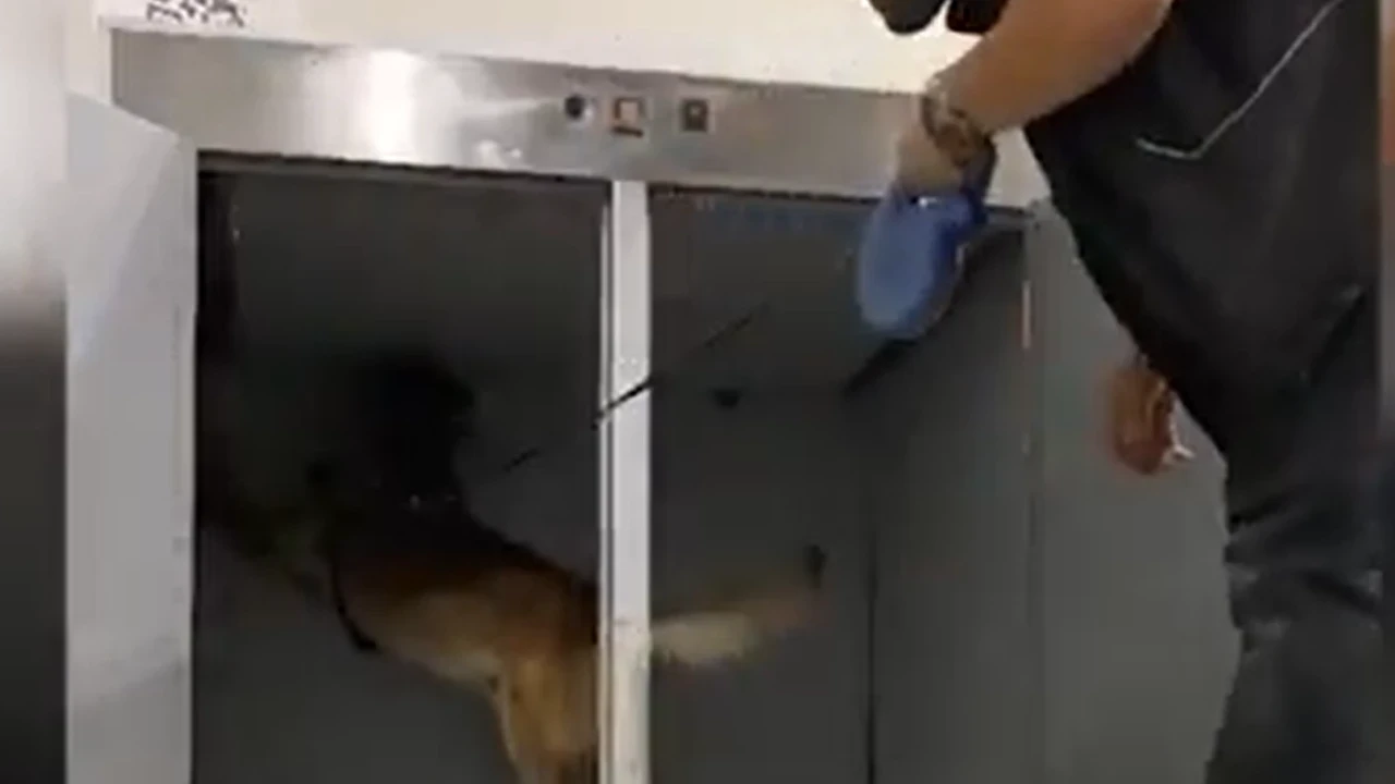 Bakanlık uyuşturucu operasyonlarında 665 kg esrar ve 344 kg metamfetamin ele geçirdi