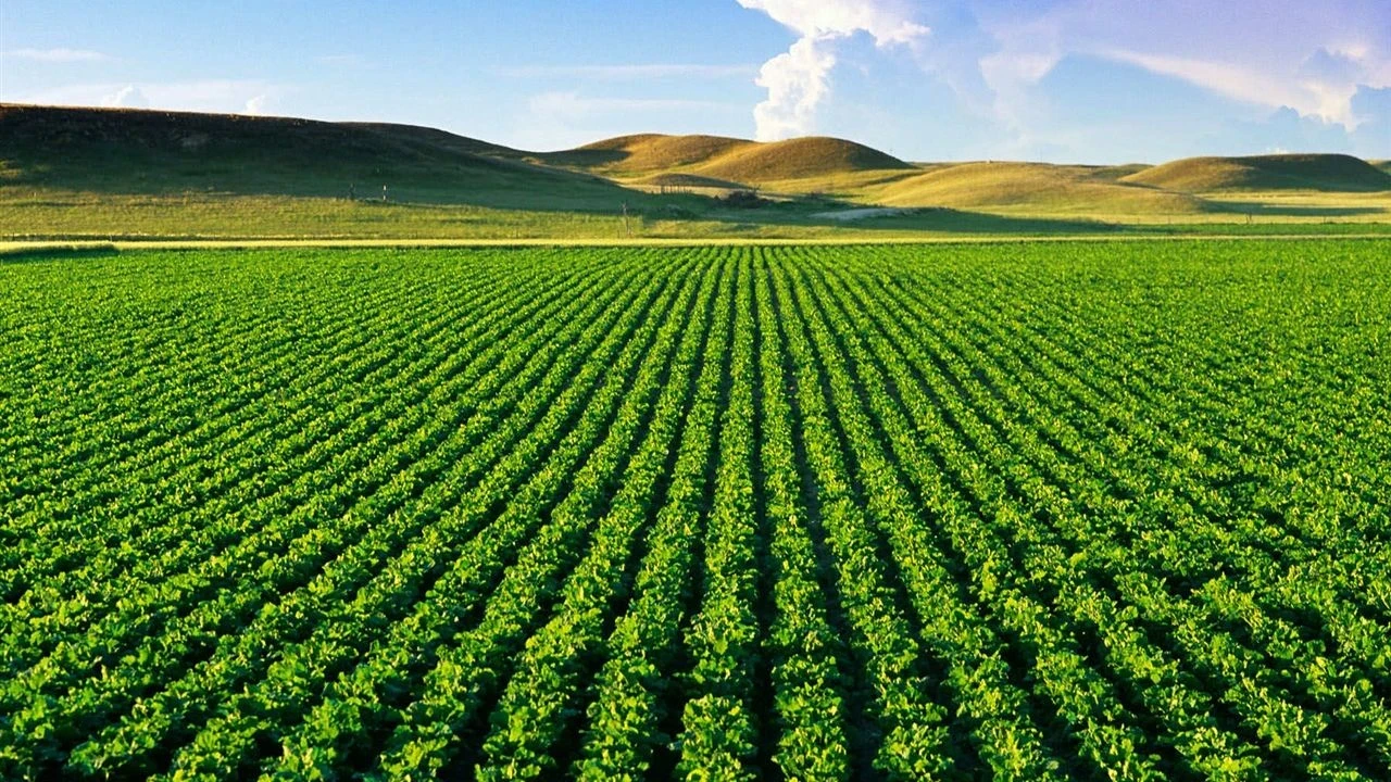 Tarımsal işletmelere sayım süreci başlıyor, 5 bin personel görev alacak!