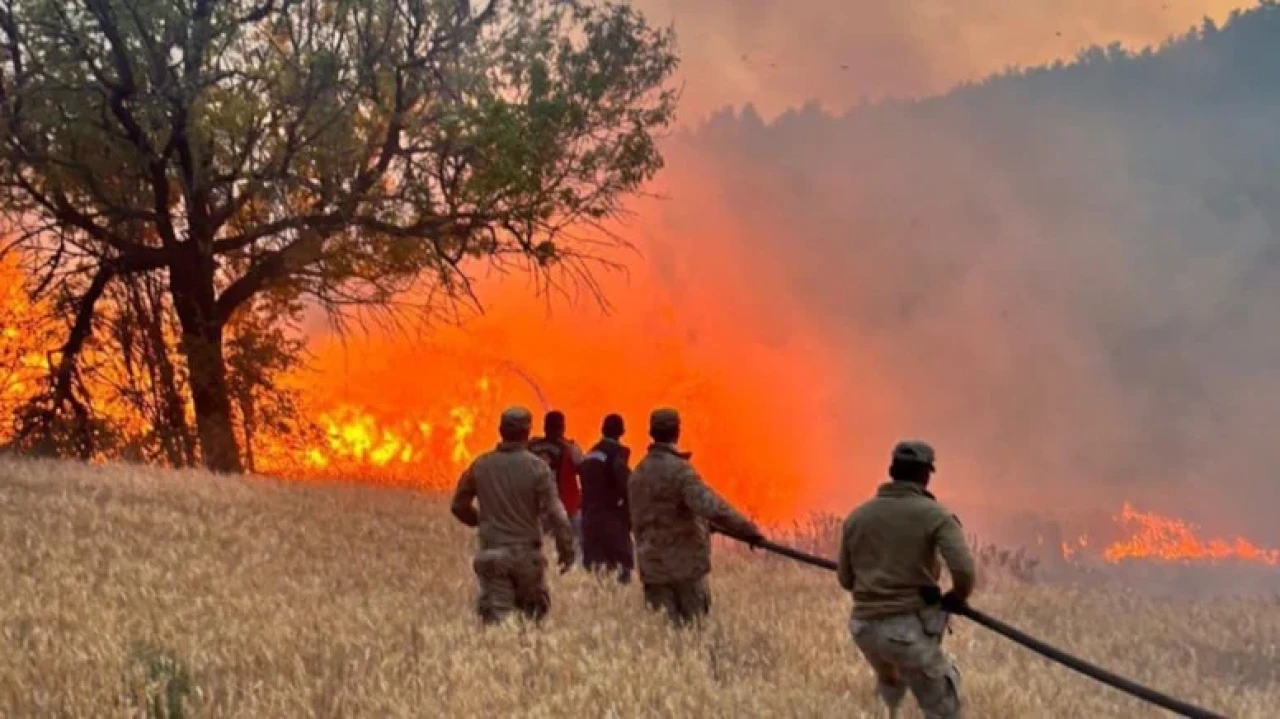 Türkiye'de Eş Zamanlı Orman Yangınlarıyla Mücadele Devam Ediyor