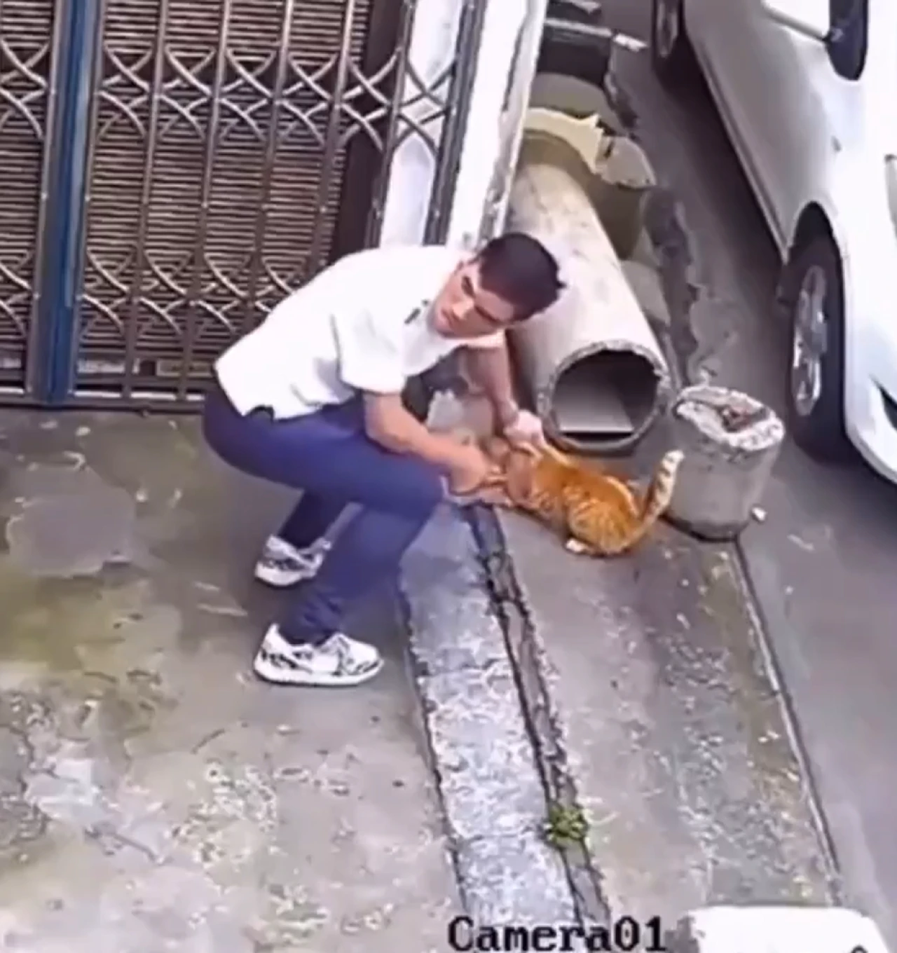 Aydın'da kedinin kuyruğunu kesen sapığın dehşet verici anları kamerada!