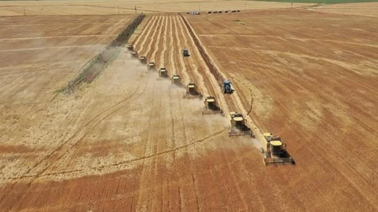 Mayıs ayında tarımda mal ve hizmetler endeksi yükseliş gösterdi, yıllık artış yüzde 31,8 oldu