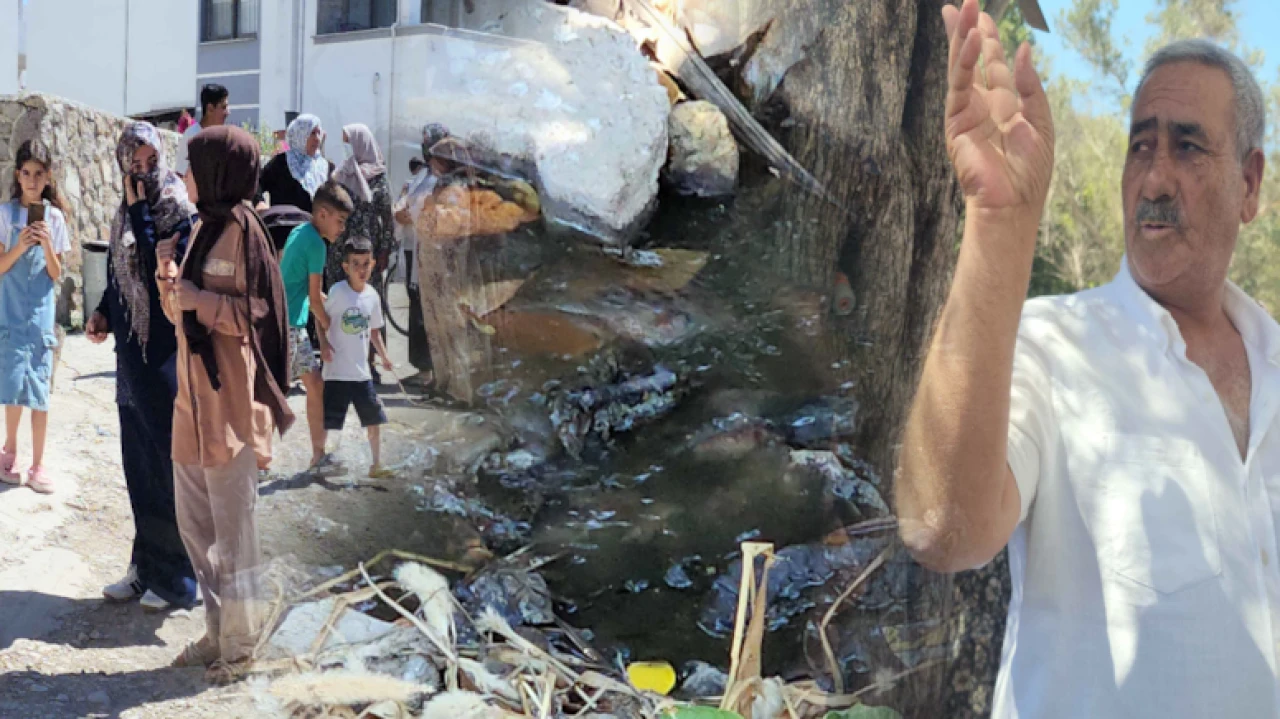 Bodrum'da mahalleli 42 derecede arıtma tesisi için eylem yaptı, çevre ve sağlık tehlikede!