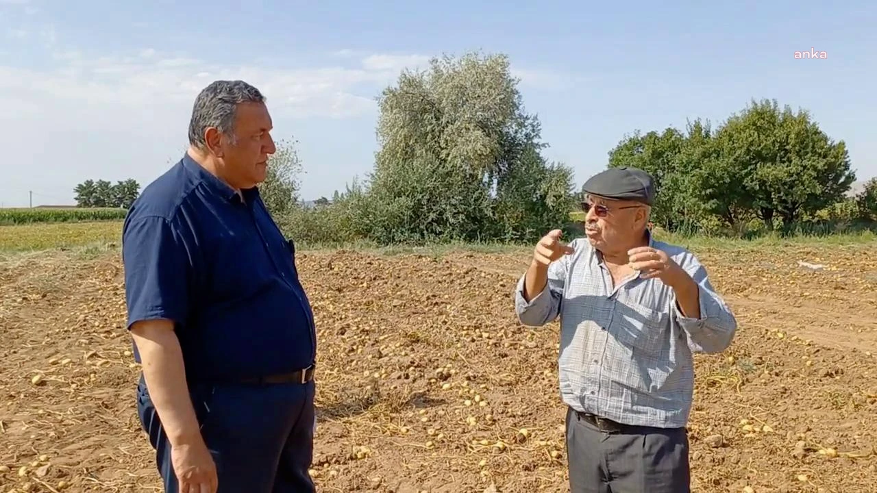 Patates üreticileri bıçağın kemiğe dayandığını, ürünlerinin tarlada kaldığını belirtiyor.