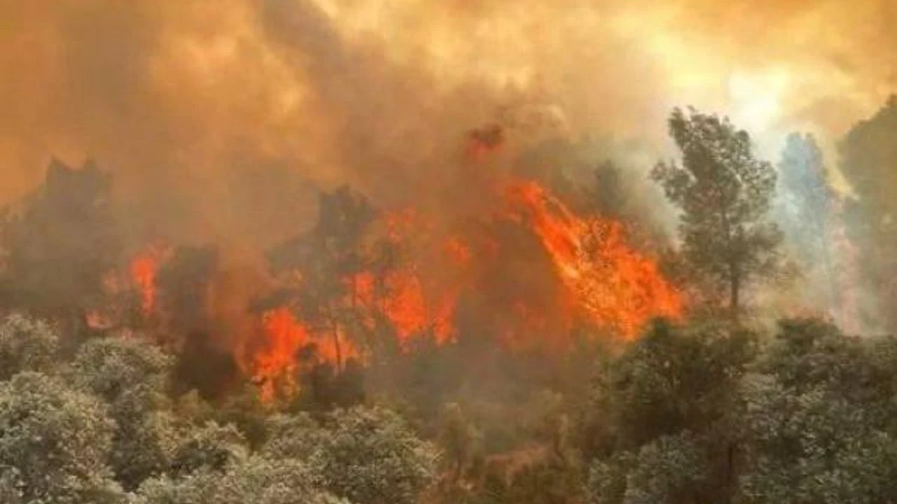 Bartın'daki yangında 4 yapı zarar gördü, Bakan Tunç'tan can kaybı yok açıklaması