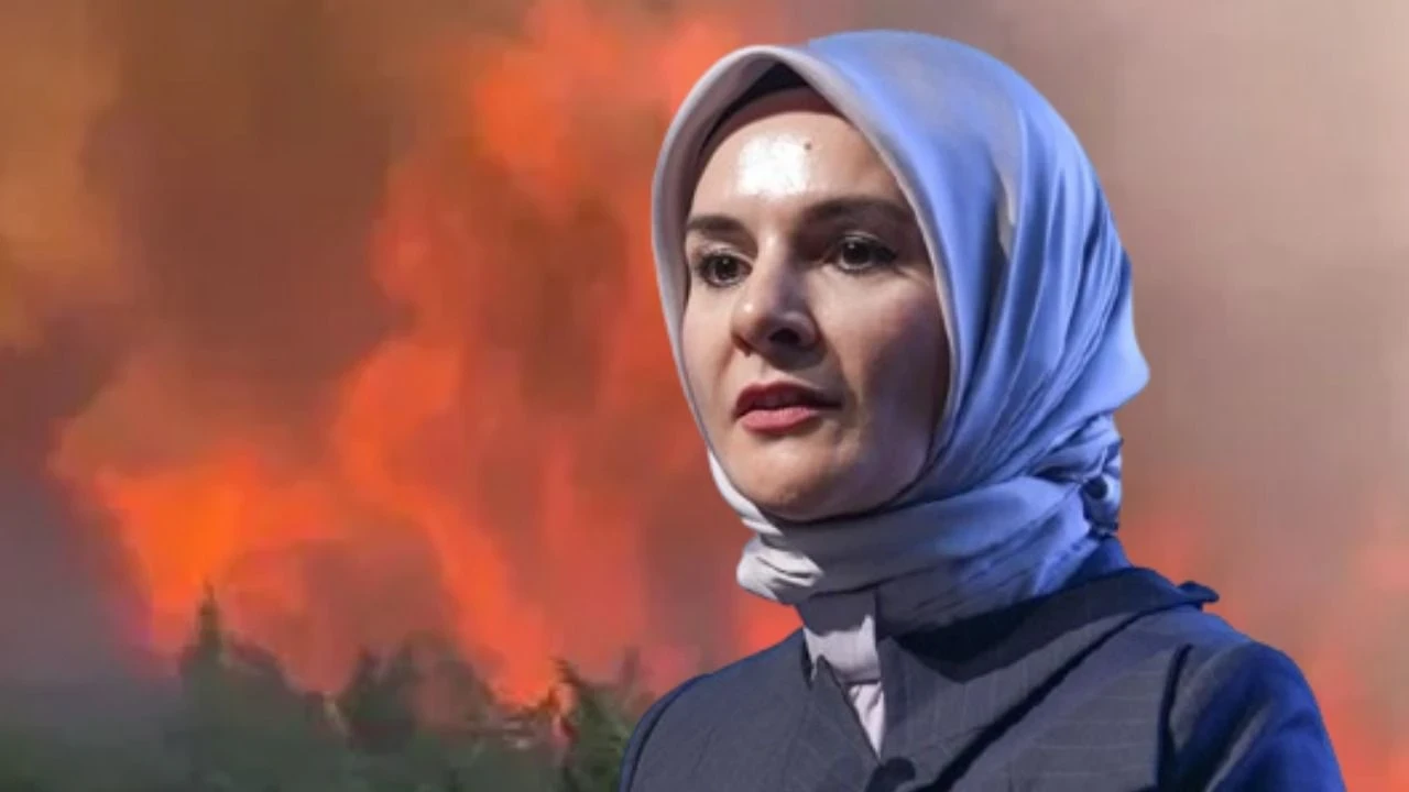 Yangınzedelere 10 milyon liralık destek paketi açıklandı, sosyal hizmetler devam ediyor