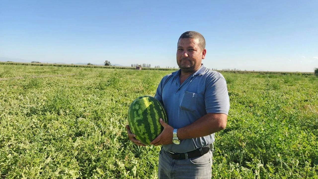 Çiftçi karpuzunu bedava dağıttı, halk tarlaya akın etti