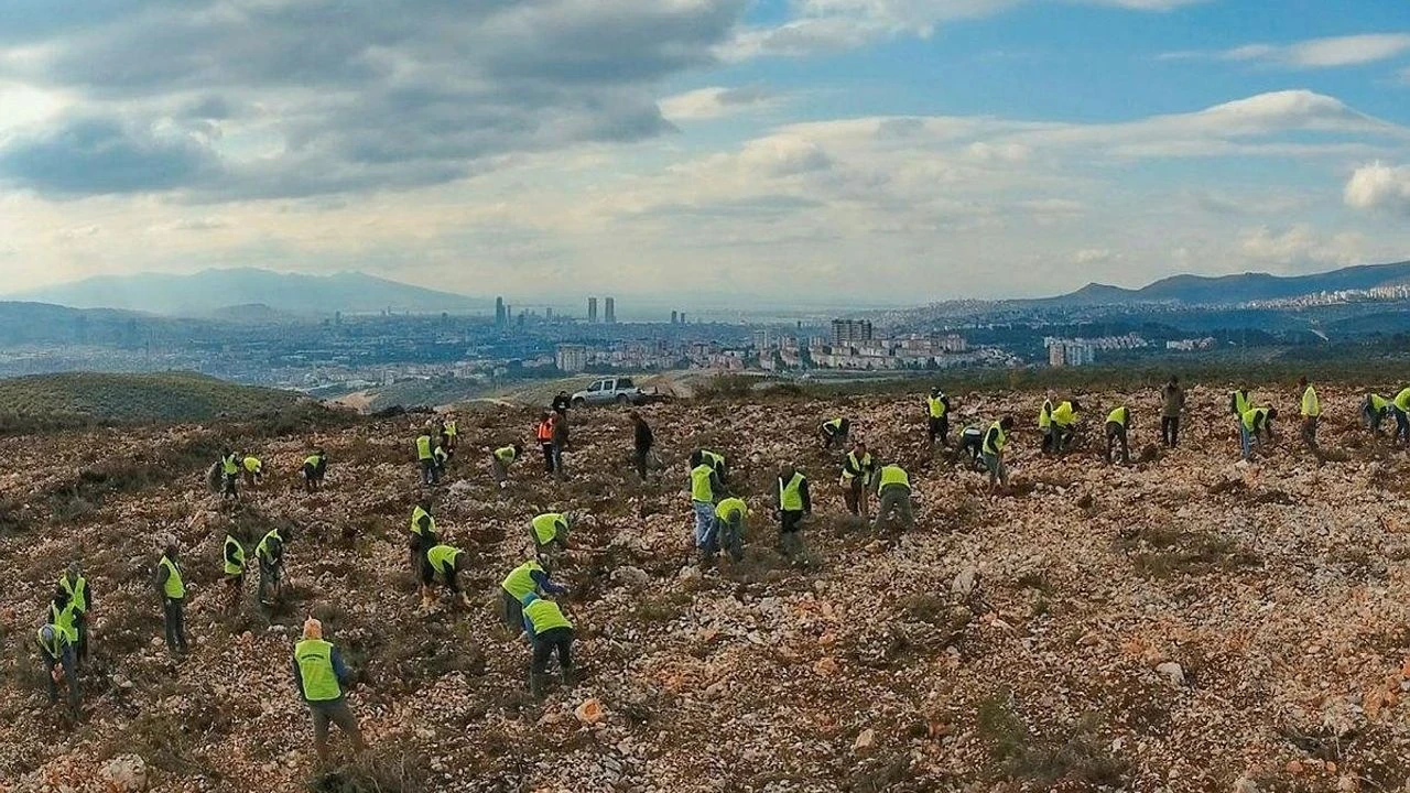 İzmir'de Yangın Sonrası Doğa Yeniden Yeşeriyor: 6 Milyon Fidan Toprakla Buluştu