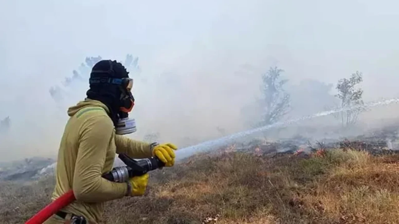 Bolu'da orman yangını: Ekipler havadan ve karadan müdahale ediyor