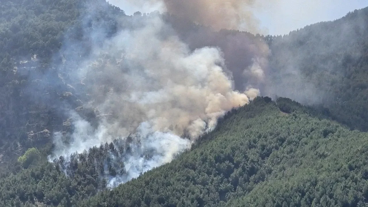 Bolu'da Ormanlık Alanda Çıkan Yangına İtfaiye ve Helikopterle Müdahale Devam Ediyor