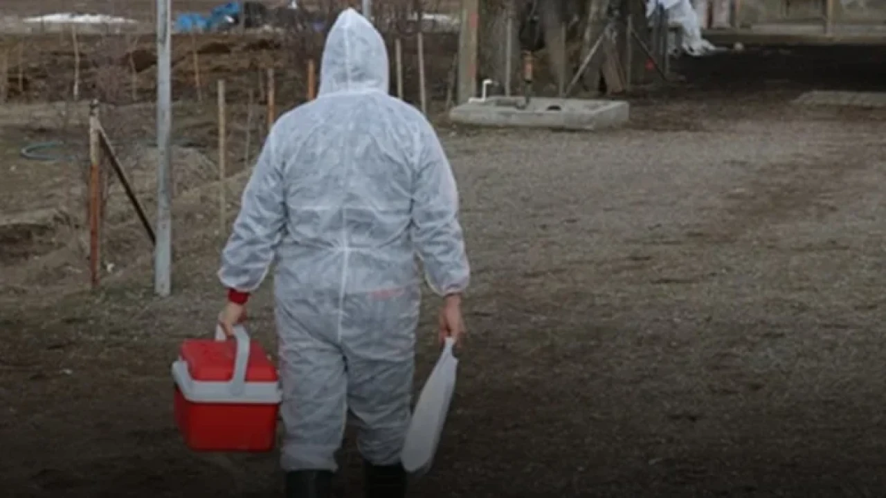 Marmara ve Ege'de Kolera Tehlikesi: Vibrio Bakterisi Tespit Edildi