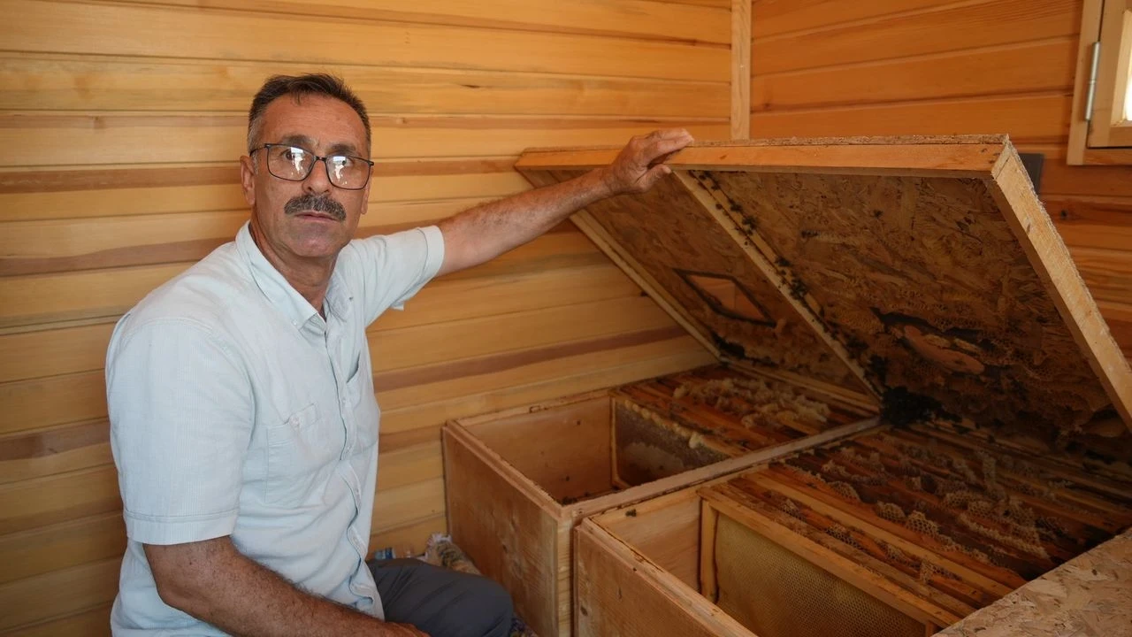 Gaziantep'te Apiterapi Merkezi, Arı Havasıyla Doğal Tedavi Sunuyor