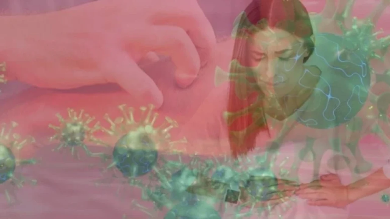 Kene ısırıklarıyla yayılan Alpha-gal sendromu, altı kıtada artış gösteriyor!