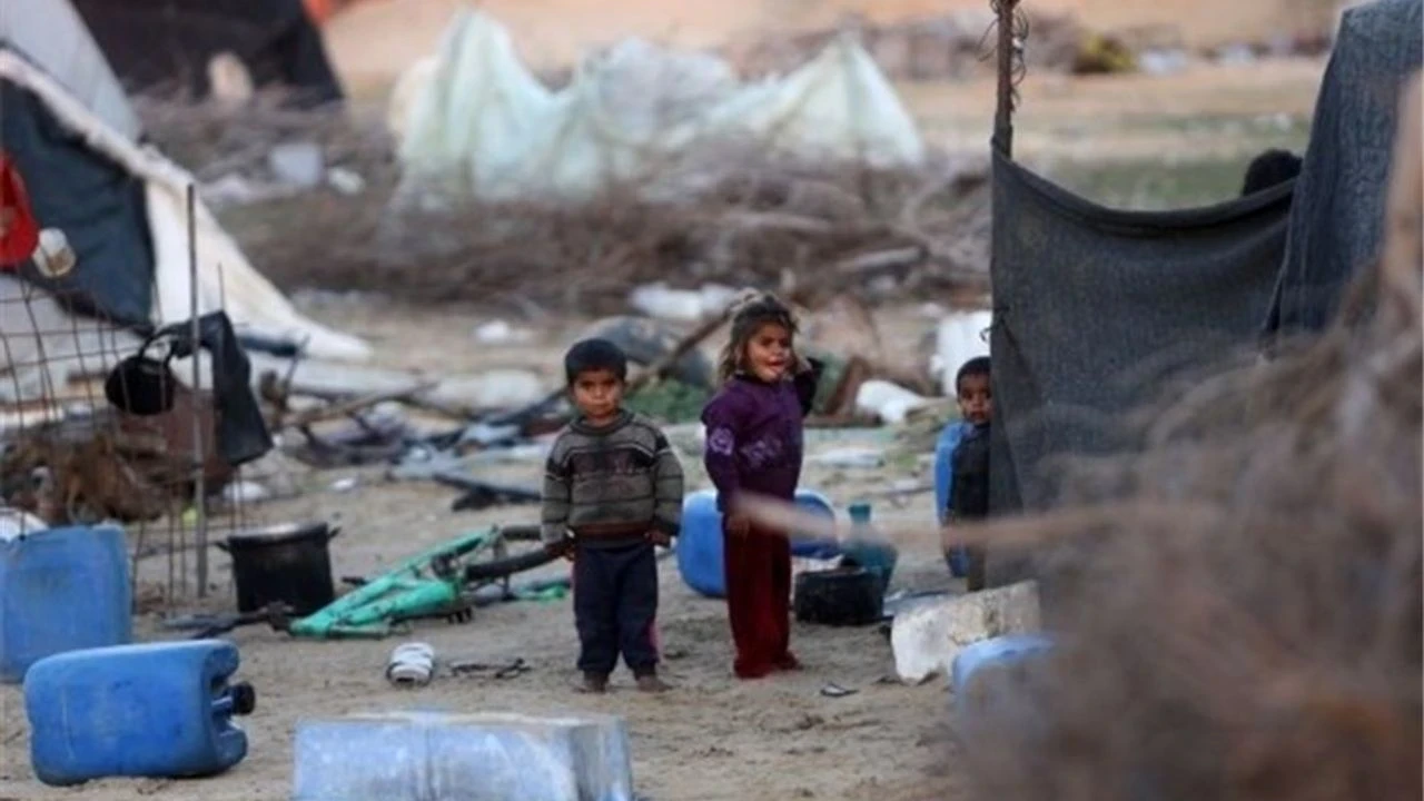 Kadın ve yaşlıların can kaybı oranı, toplam kayıpların önemli bir yüzdesini oluşturdu