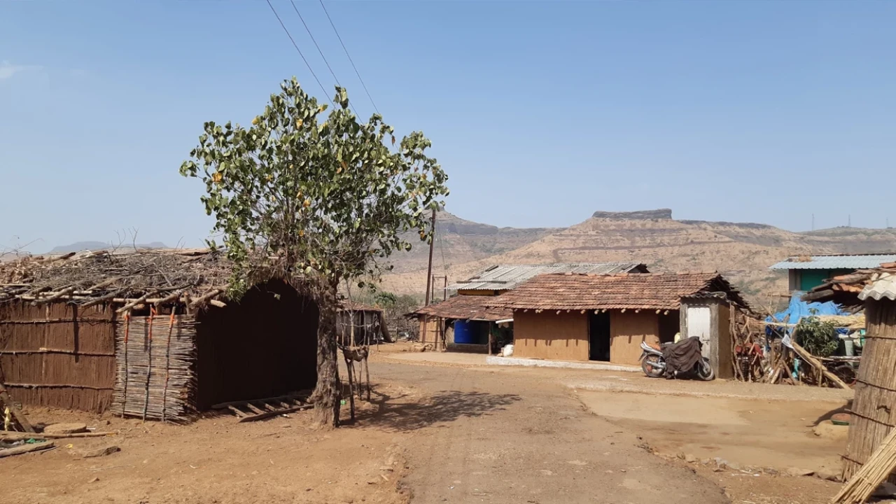 Bihar'da Büyücülük Suçlaması: Aynı Aileden Beş Kişi Linç Edilerek Öldürüldü