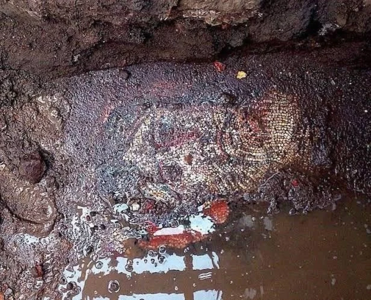 İznik'te Roma dönemine ait mozaik ve mezarlar bulundu, kazı çalışmaları hız kazanıyor