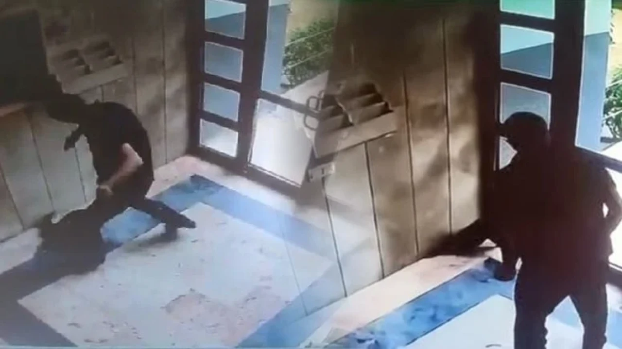 Başakşehir'de kediye şiddet uygulayan boyacı pişman olduğunu söyledi