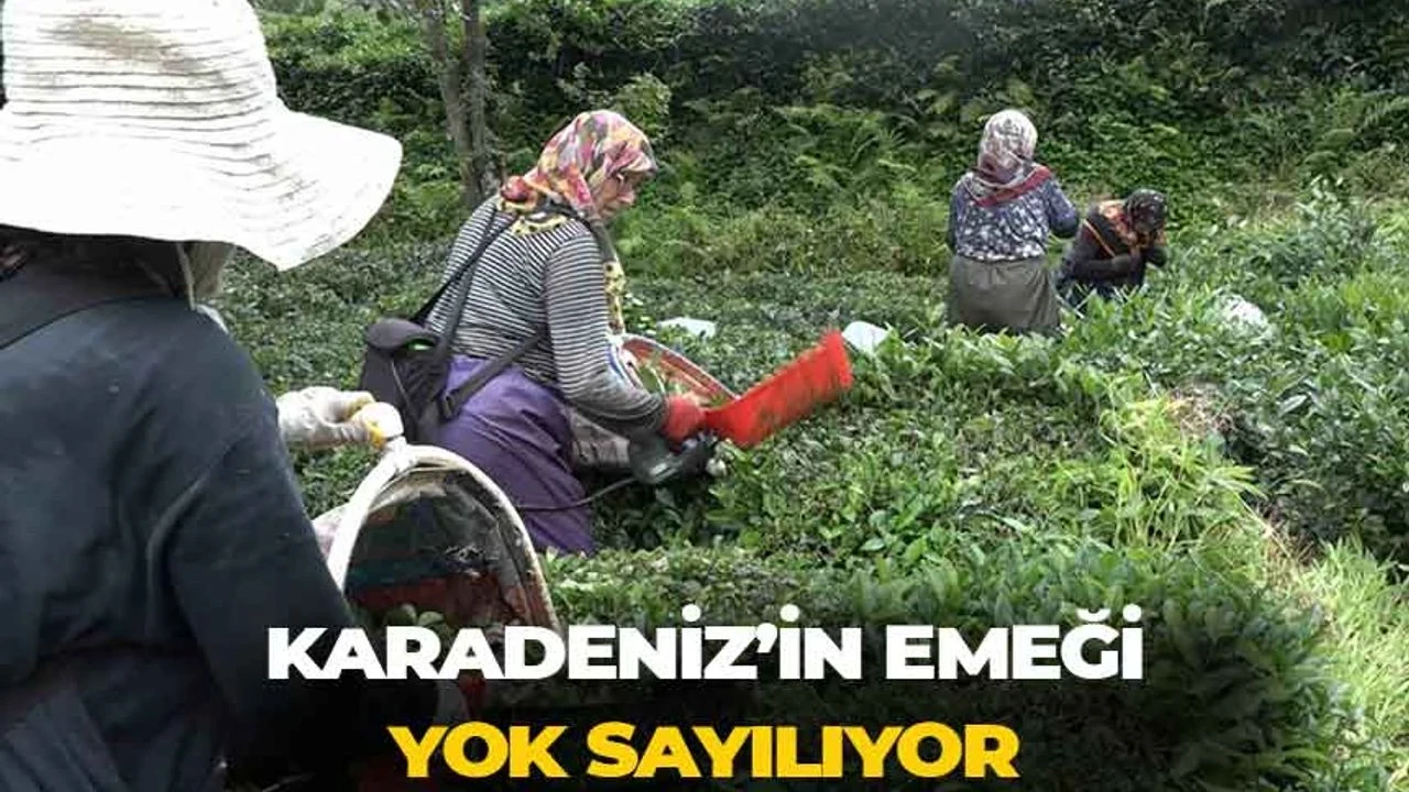 Erhan Adem: İktidar tarım yerine rant politikası izliyor, çay üreticisi yok sayılıyor