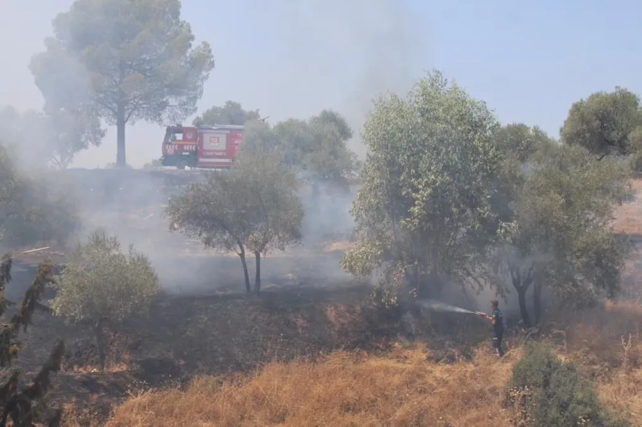 Kemer Mezarlığı'nda yangın paniği! Havaya ateş eden dört kişi yakalandı