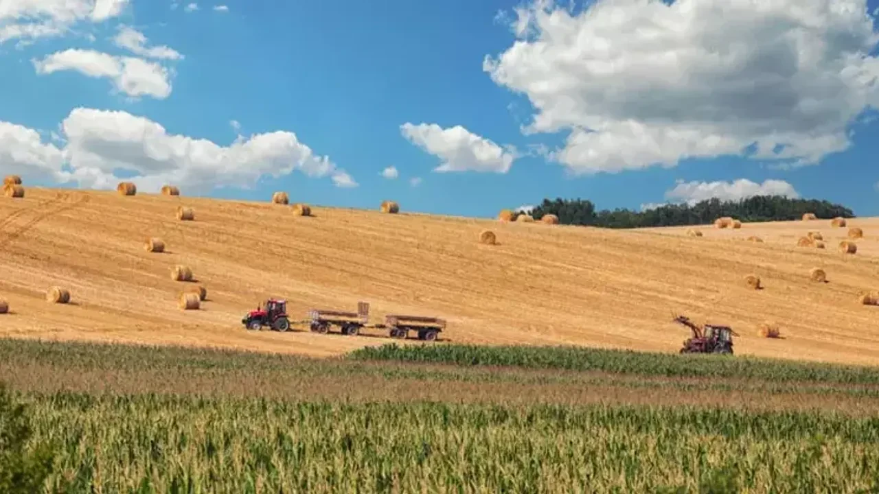 Atıl tarım arazileri için yeni proje: İki yıl işlenmezse kiracı atanacak!