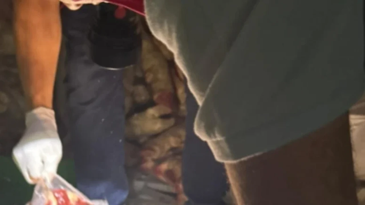 Silopi'de 3 ton kaçak et ele geçirildi, hijyenik koşullarda depolanmadığı tespit edildi