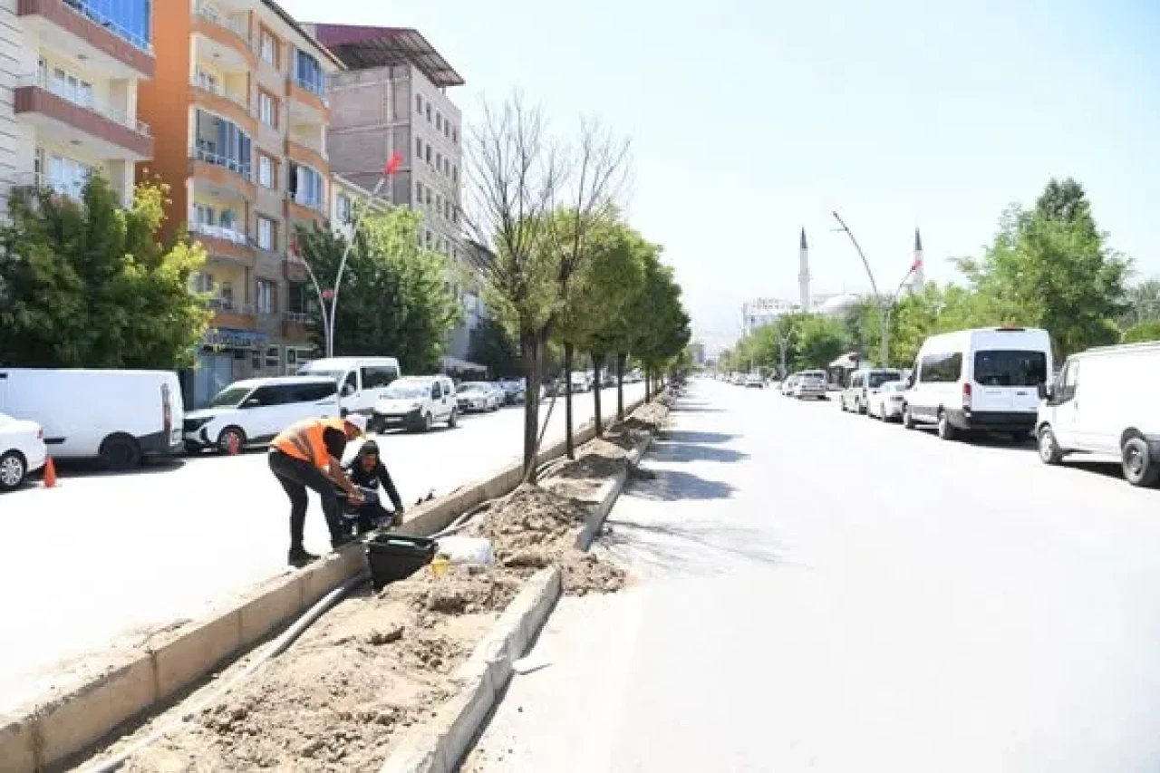 Muş Belediyesi’nden İstasyon Caddesi’nde Yeşillendirme ve Sulama Atağı