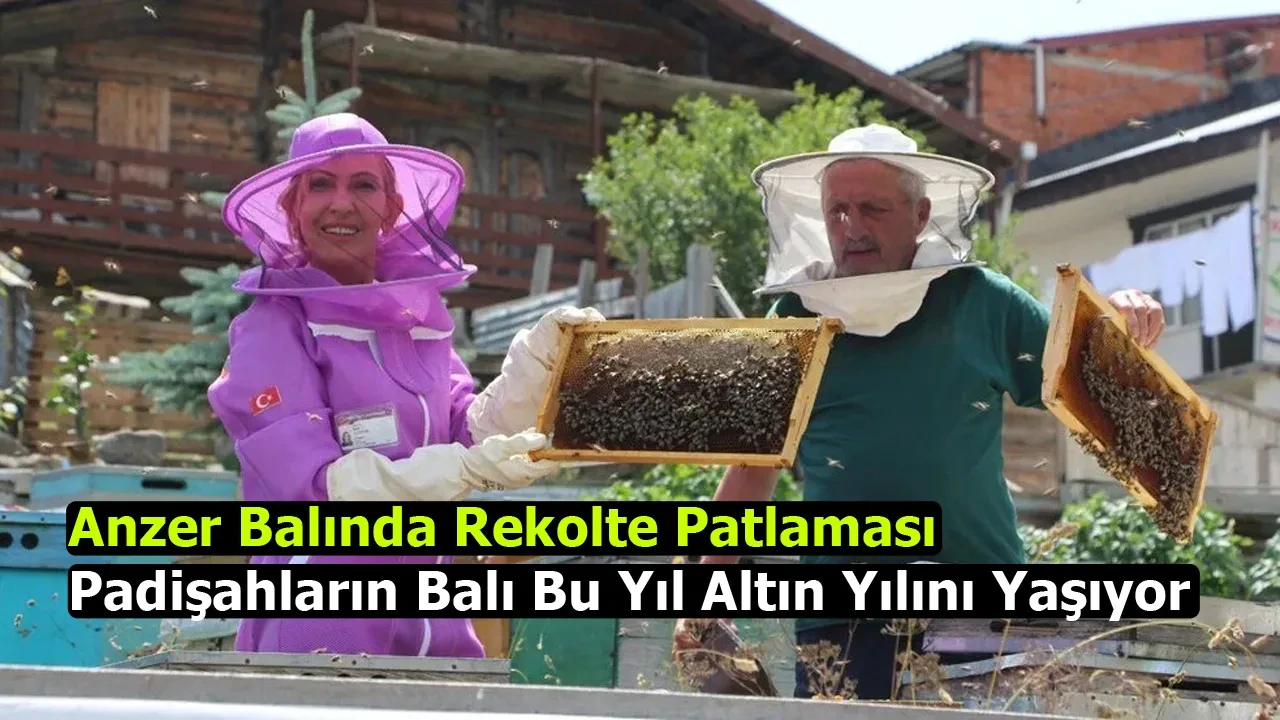 Anzer Balında Rekolte Patlaması Padişahların Balı Bu Yıl Altın Yılını Yaşıyor