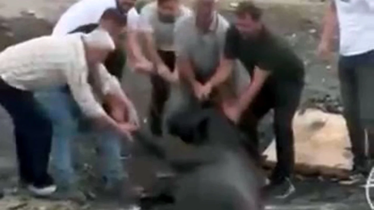 Yeşilkent'te Yangın: Besici İneklerini kurtarmak için seferber oldu