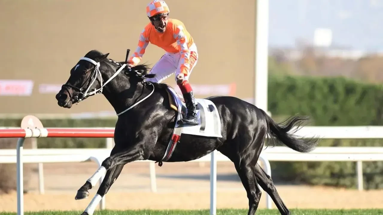 Burgas’ın Sahibi Sanem Kahraman Kimdir, Nereli, Kaç Yaşında, Eşi Kim, Hangi Çiftliklerde At Yetiştiriyor?